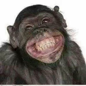 Meet your Posher, Andres